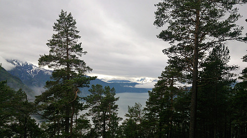 View from Amlaholten