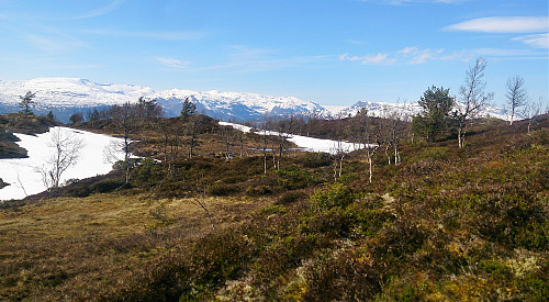 View towards Jostedalsbreen from southwest of Skinarfjellet