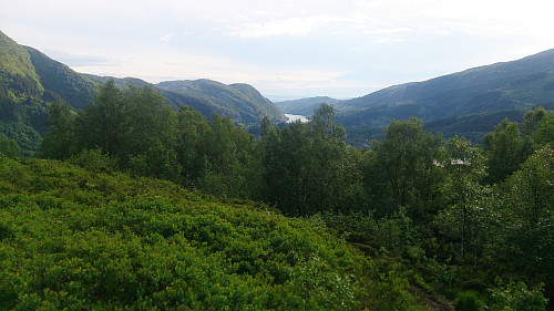 View from Vemånen