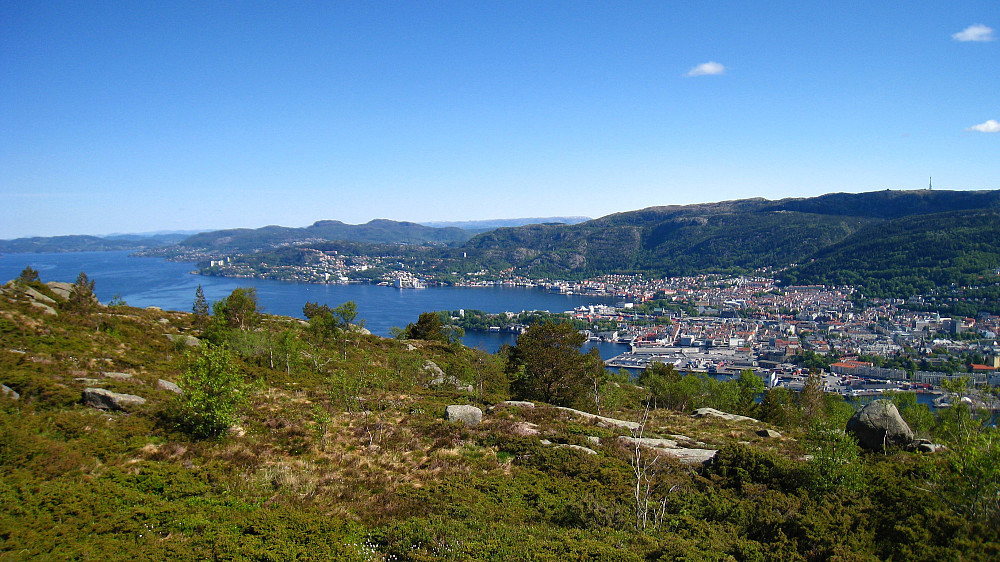 The Bergen city center from Damsgårdsfjellet