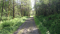 Gravel road towards Svartavatnet