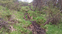 Trail down from Sveåsen