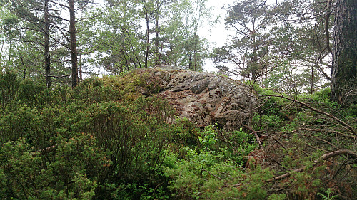 The summit of Lauvåsen