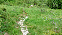 Trail towards the cabin