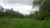 Open area between the ridges