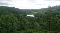 View towards Frotveitvatnet