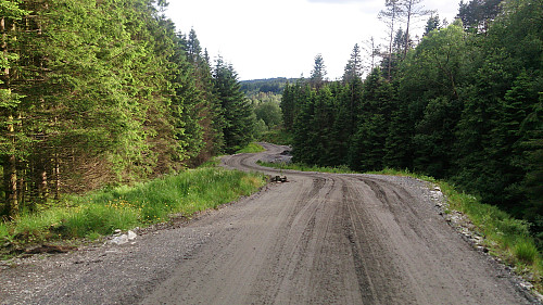 Gravel road down to Totland