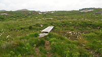 Trail towards Sauafjellet