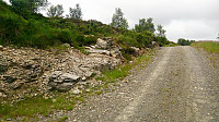 Start of the trail to Sauafjellet