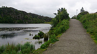 Skogavatnet