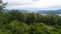 View from Tveitavarden