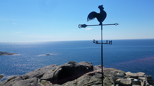 Skogsøytua