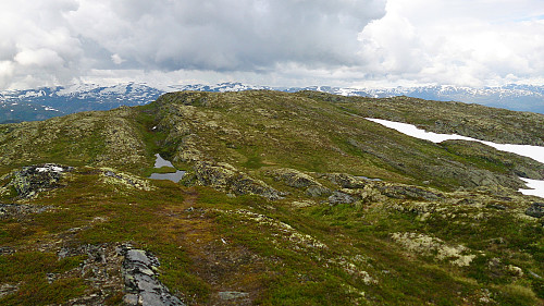 View from the cairn towards the highest point