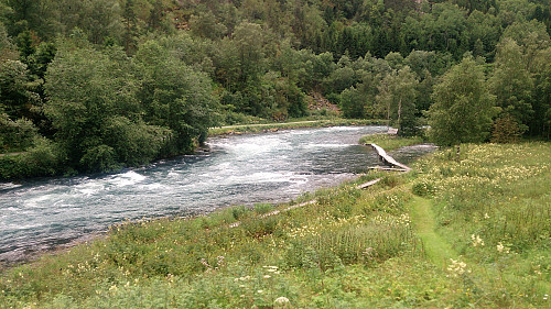 Årøyelvi