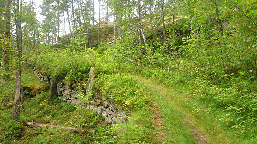 The trail