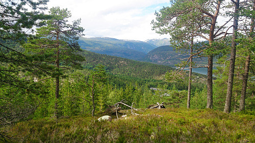 Northwest from Orrabruhaugen