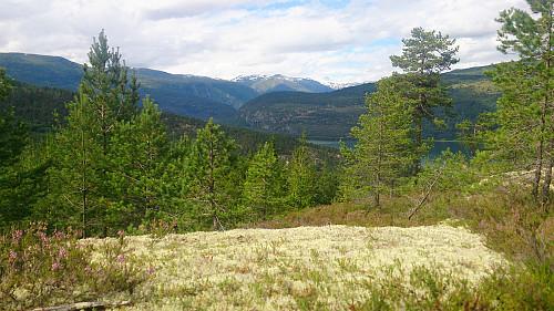 Northwest from Orrabruhaugen