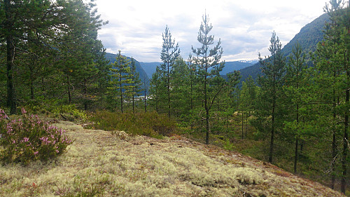 View towards Sogndal from Orrabruhaugen