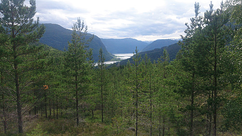 View towards Barsnes/Sogndal from Orrabruhaugen.