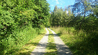Gravel road towards Ølnesstølen
