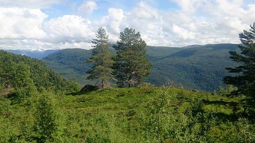 View from Vetle Hovden