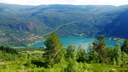 Barsnesfjorden from Vetle Hovden