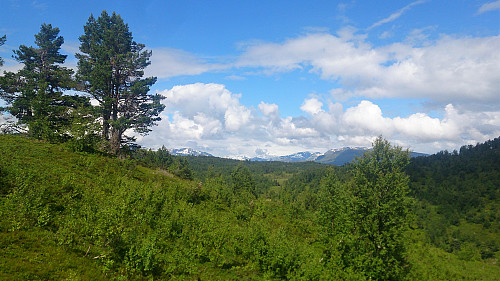 North from Vetle Hovden