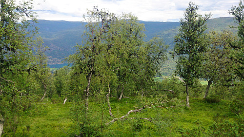 View from Kjørkhovden
