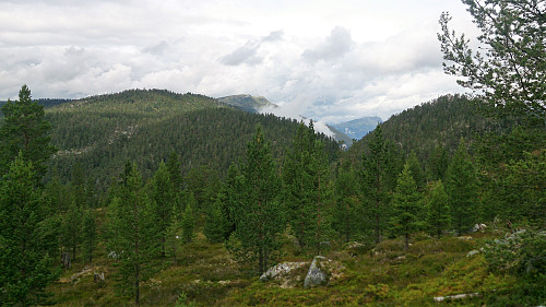 North from southeast of Søre Gråbrørne