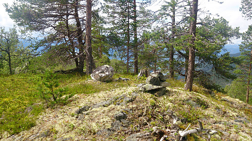The highest point at Søre Gråbrørne