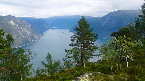 Årdalsfjorden from the cairn at Søre Gråbrørne