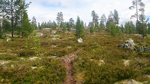 Trail towards Søre Gråbrørne