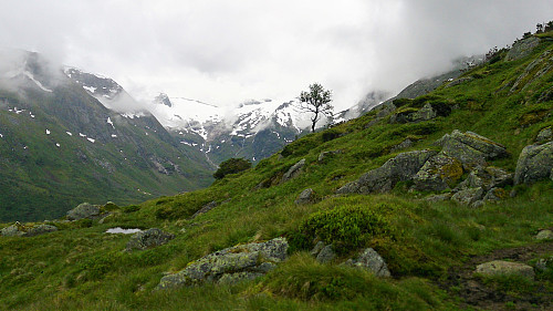 View west from the ascent
