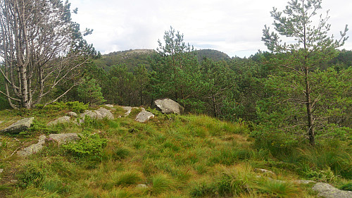 View from Holafjellet towards Damsgårdsfjellet and Olsokfjellet