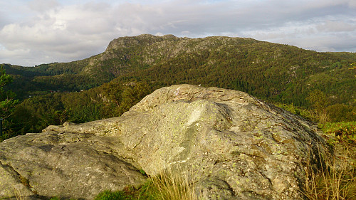 The highest point at Toppenipa. Høgstefjellet in the background.