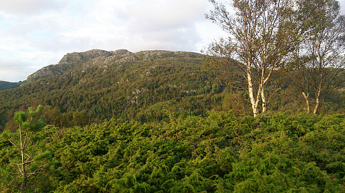 The highest point at Toppefjellet. Høgstefjellet in the background.
