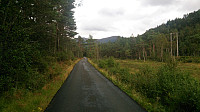 Gåssandvegen