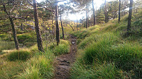 The trail towards Hetlebakksåta