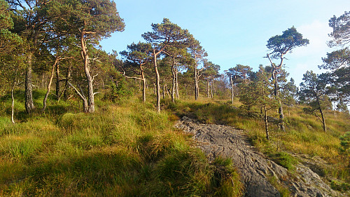 The trail towards Hetlebakksåta