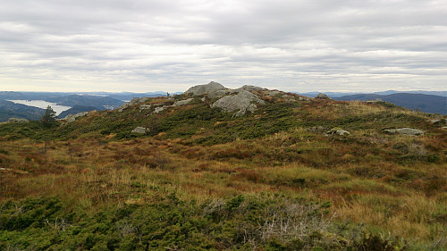 The highest point at Tellevikafjellet