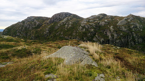 The highest point at Midtfjellet. Høgstefjellet in the background.