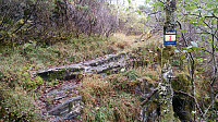 Trail marked with "Folkesti"