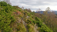Trail follows several small ridges