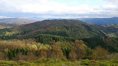Burkelandsfjellet from Dalsnipa