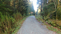 Gravel road at the start of the hike