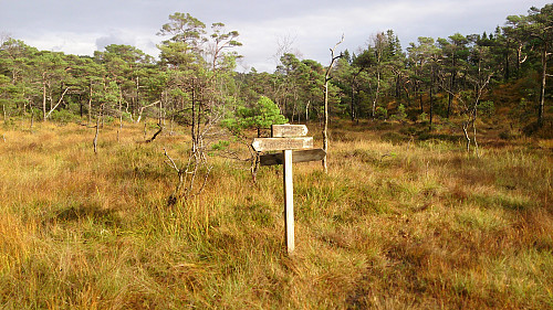 Marsh southeast of Vardafjellet