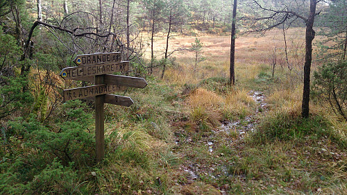 Signs north of Ådnedalsmyra