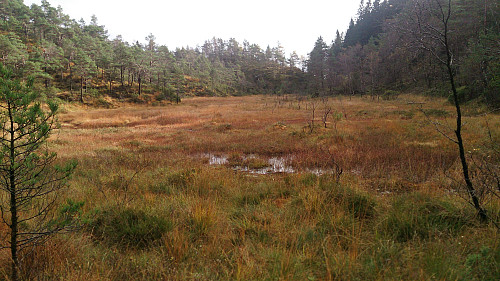 North of Ådnedalsmyra