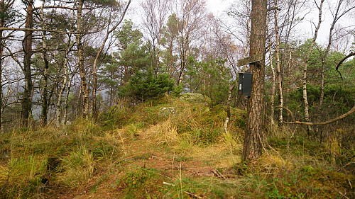 The summit of Ulvenfjellet