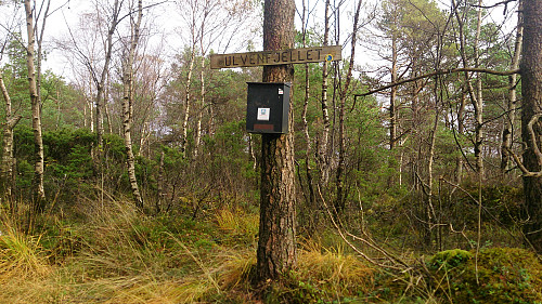 The summit of Ulvenfjellet